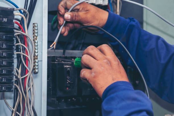 Best Electric Panel Repair  in Conashaugh Lakes, PA